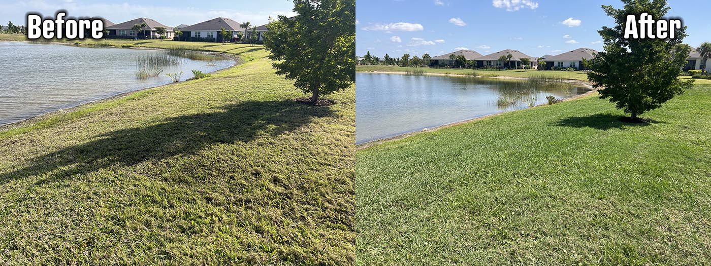 Organic Lawncare Landscaping Company Soil Regeneration Punta Gorda Cape Coral Charlotte County